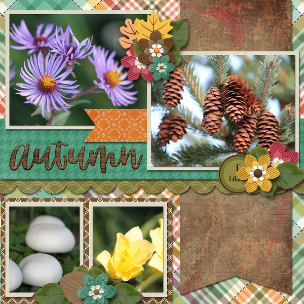 Whoo Loves Fall