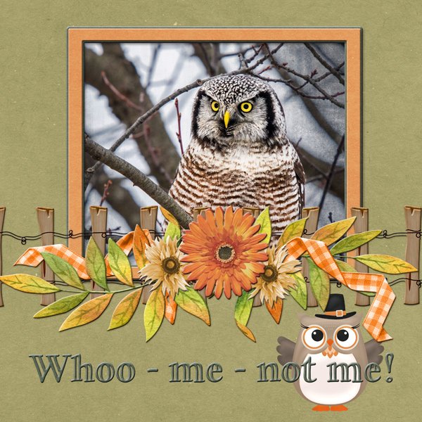Whoo-me-not-me!