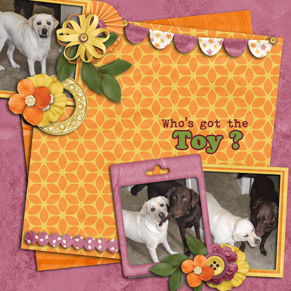 Who's got the Toy?