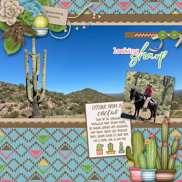 Wickenburg-web