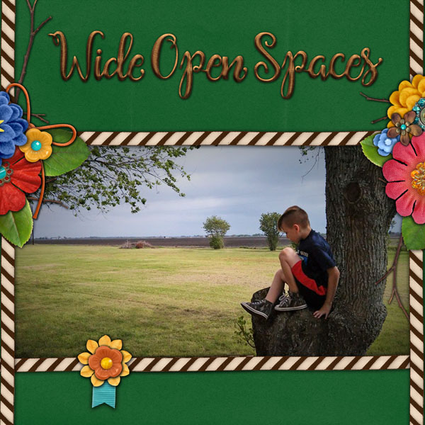 Wide Open Spaces