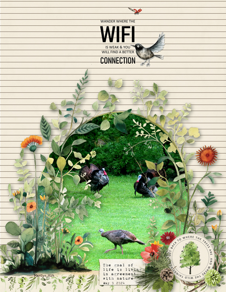 WiFi Free Zone