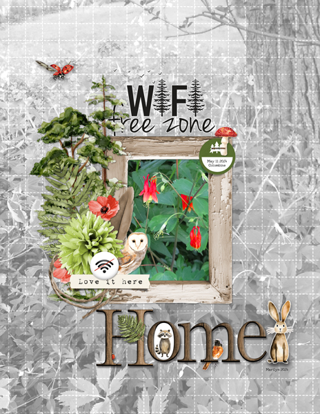 WiFi Free Zone
