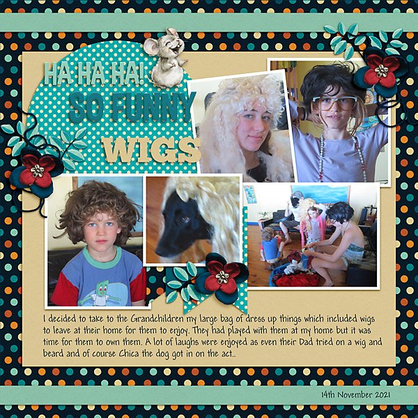Wigs
