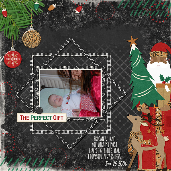 Wild 4 Christmas kit by Designs by Connie Prince