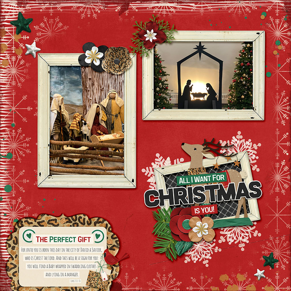 Wild 4 Christmas
