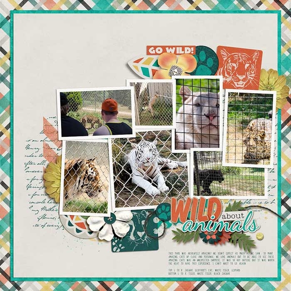 ~Wild About Animals~
