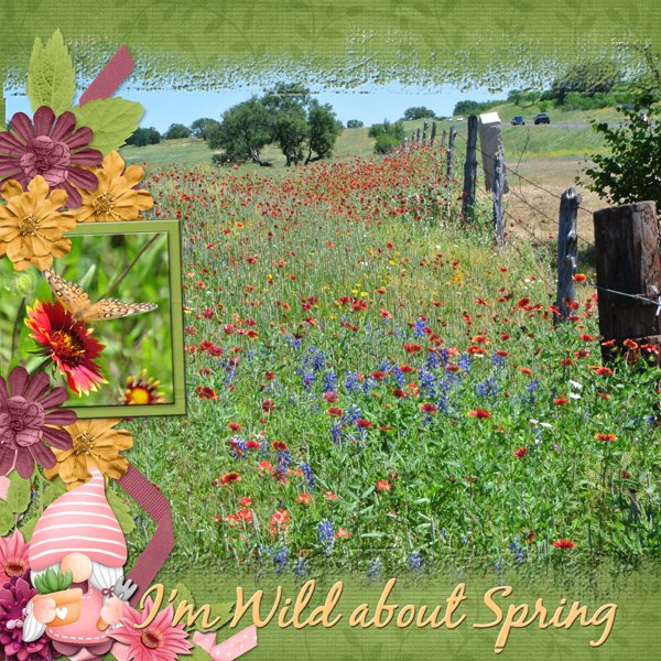 WILD about SPRING