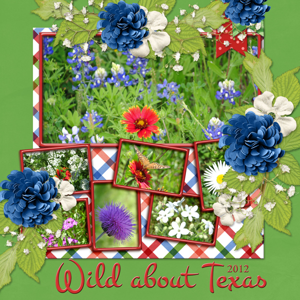 Wild about Texas