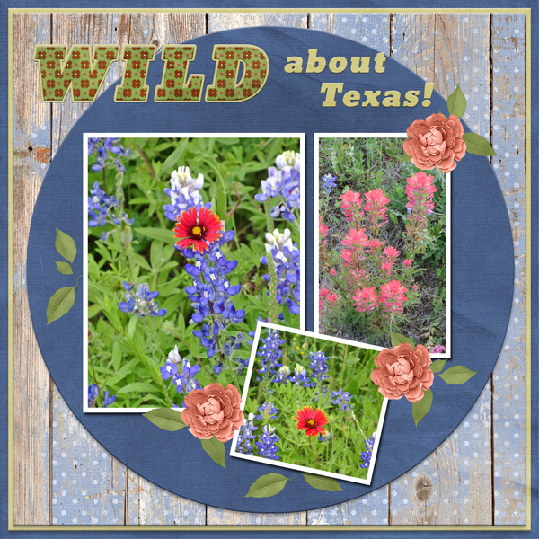 WILD about Texas!