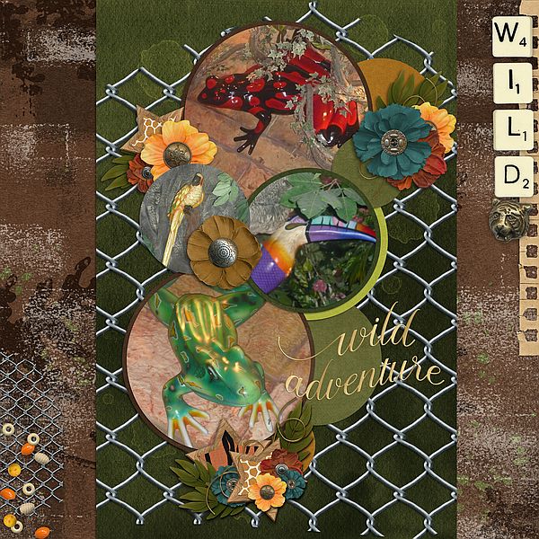Wild Adventure