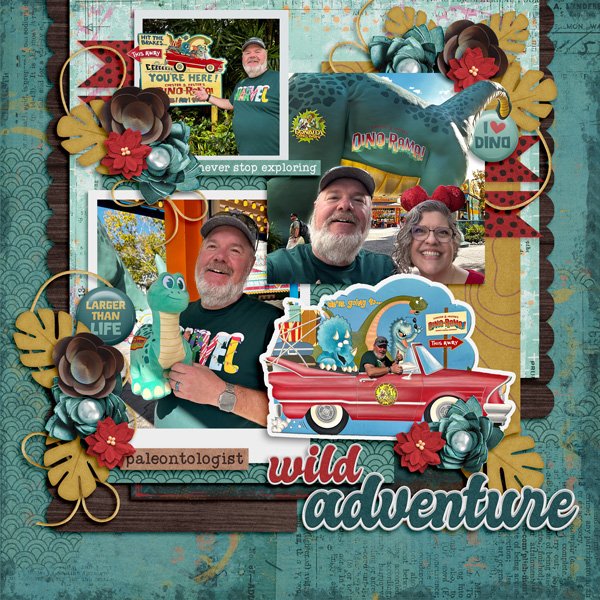 wild adventure