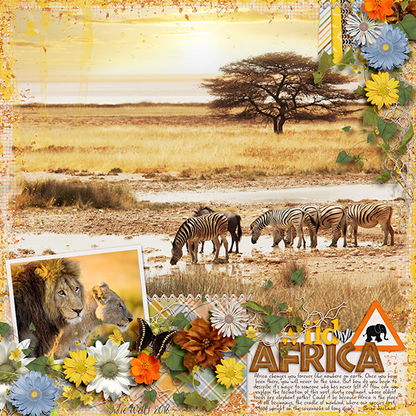 wild Africa