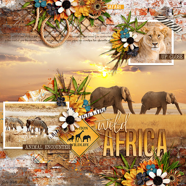 wild Africa