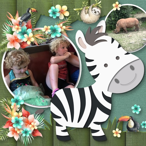 Wild Aliya + Maya Safari