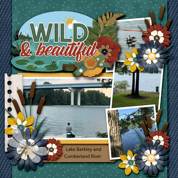 Wild and Beautiful