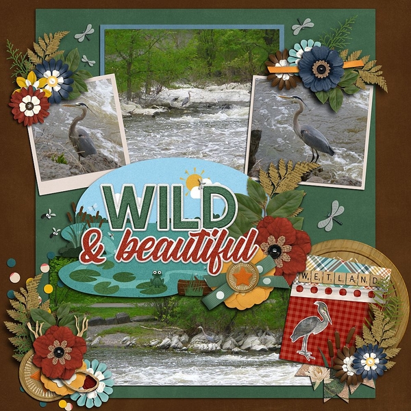 Wild and Beautiful