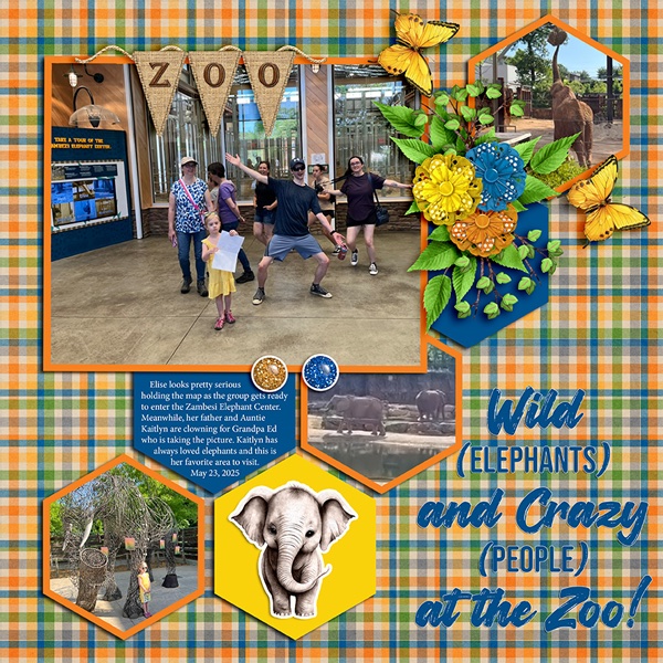 Wild and Crazy at the Zoo