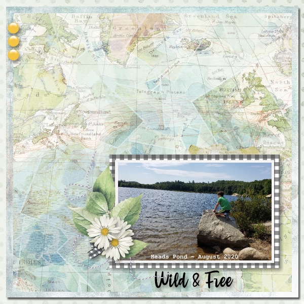 Wild and Free on Heads Pond Trail 2020