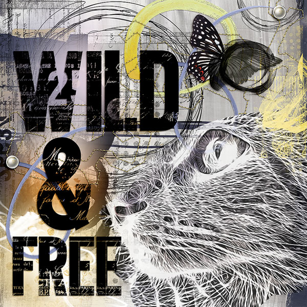 Wild and Free