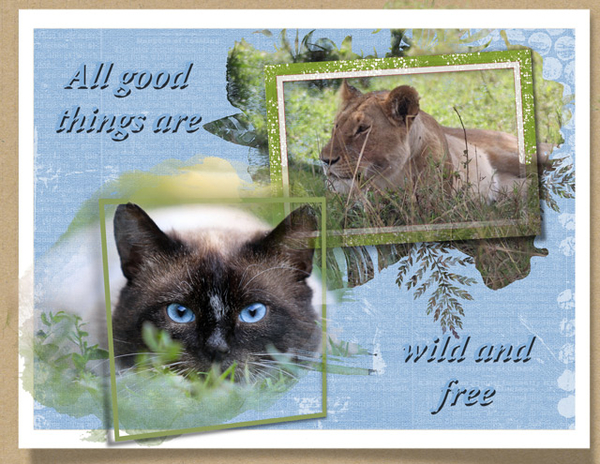 Wild and Free