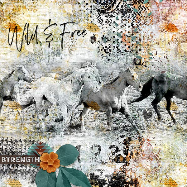 WILD AND FREE