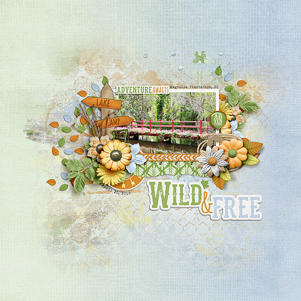 Wild and Free