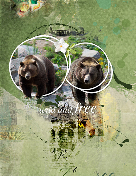 wild and free
