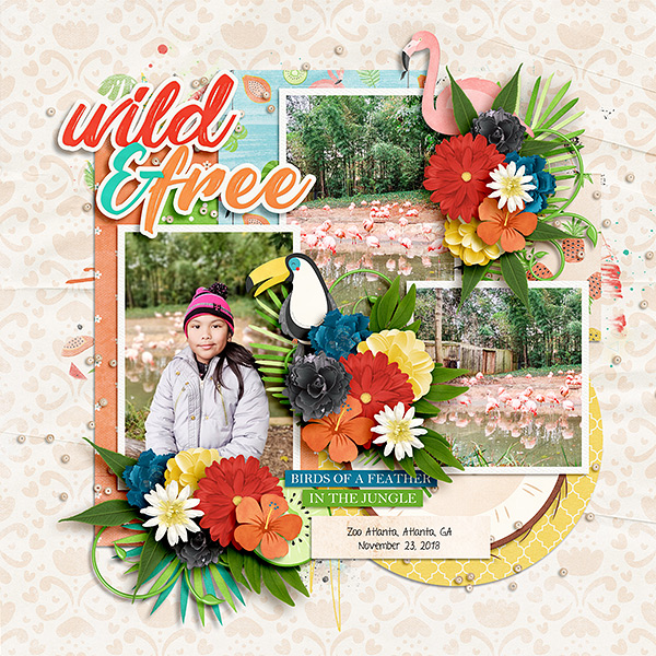 Wild and Free