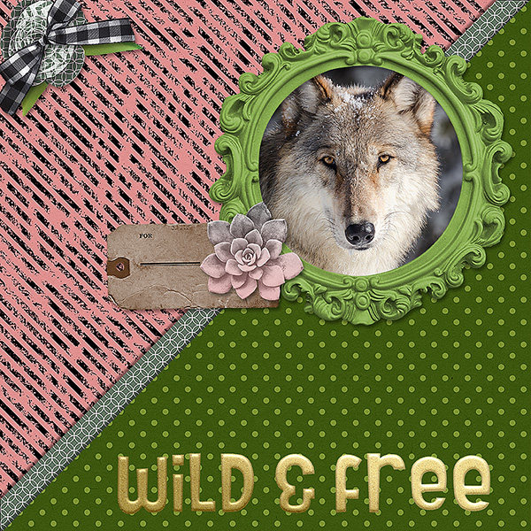 Wild and Free