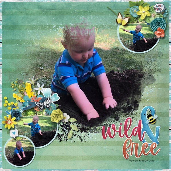 Wild and Free