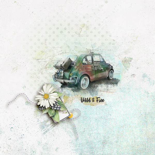 wild and free