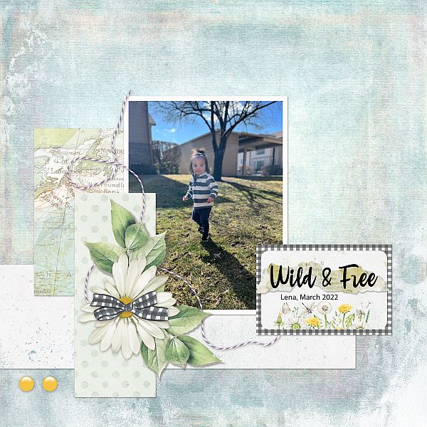 Wild and Free