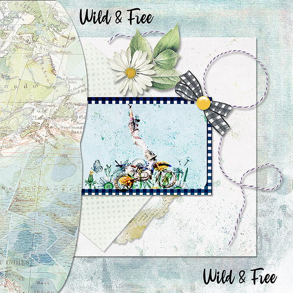 Wild and Free
