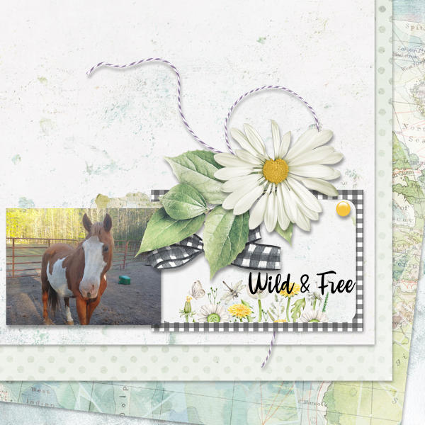 Wild and Free