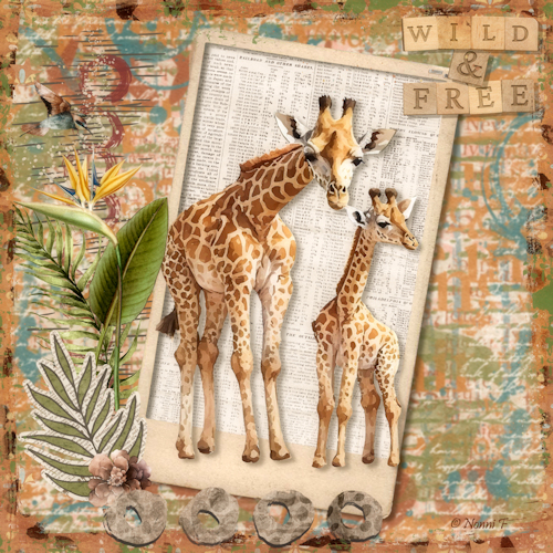 WILD AND FREE