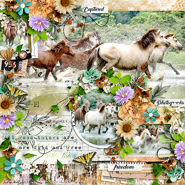 wild and free