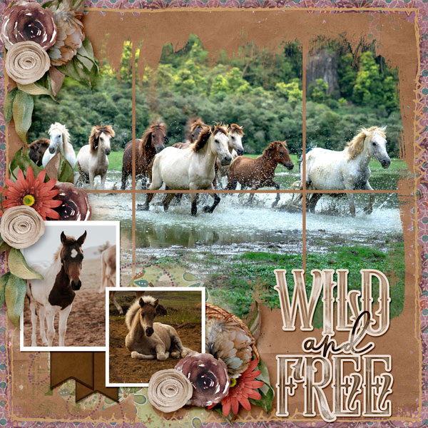 Wild and Free