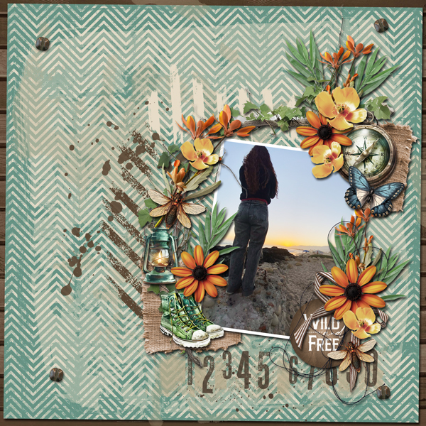 Wild And Free
