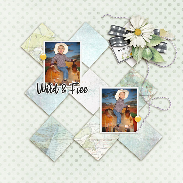 Wild-and-Free13