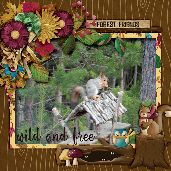 Wild-and-free5
