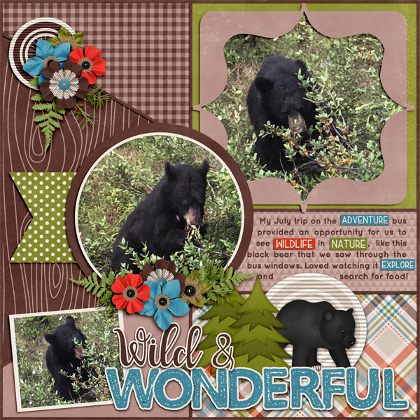 Wild and Wonderful