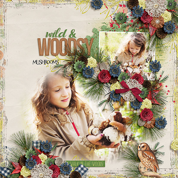 wild and woodsy