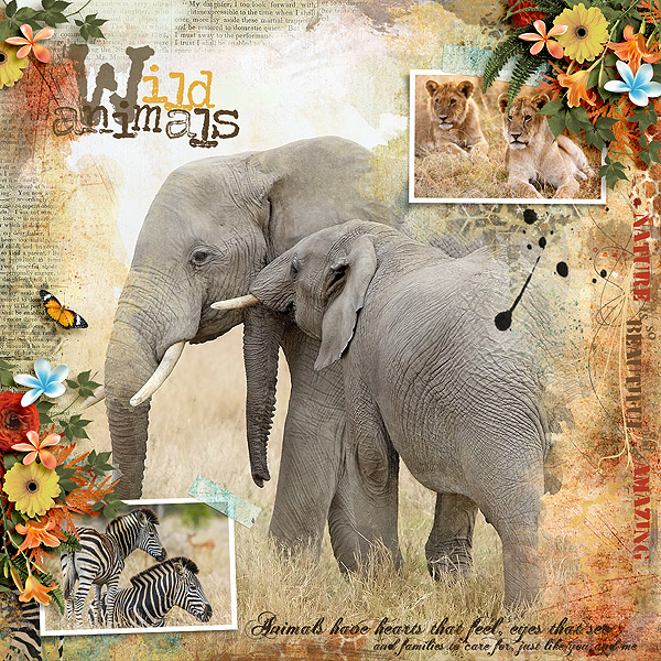wild animals