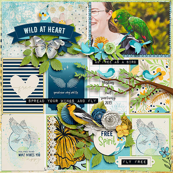 Wild At Heart