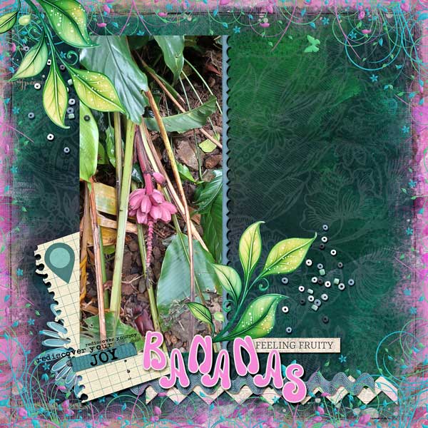 wild-bananas.web.jpg