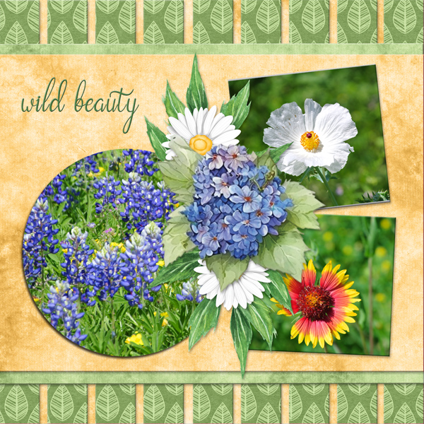wild beauty-scr