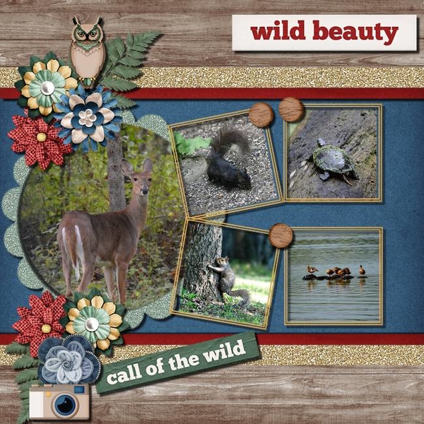 Wild Beauty