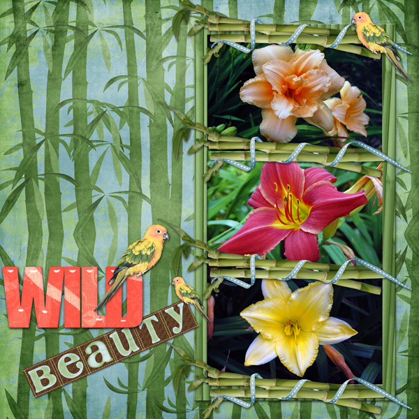 Wild Beauty