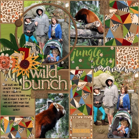 Wild Bunch